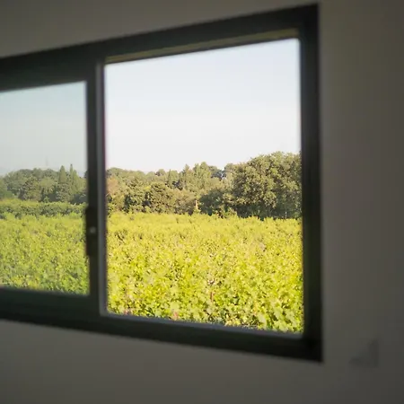 Opus - Authenticité - Piscine - Climatisation - Vignes