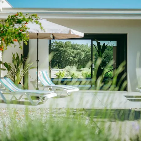 Opus - Authenticite - Piscine - Climatisation - Vignes *