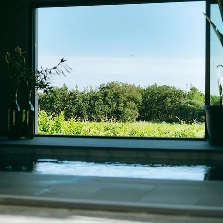 Opus - Authenticite - Piscine - Climatisation - Vignes Apartment Trouillas